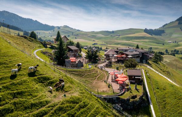 LDW Sommerrodelbahn 02